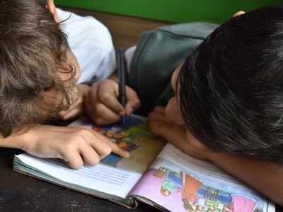 Trans Healthcare Action Ireland calls for comprehensive modern primary-level sex education