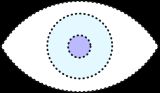 Eyeball with blue iris