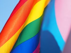 Trans Healthcare Action participates in Council of Europe event on trans healthcare